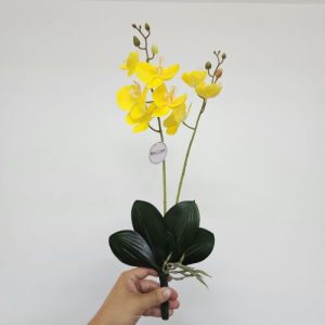 Orquídea 4 hojas raíz flor látex artificial decoración Phalaenopsis